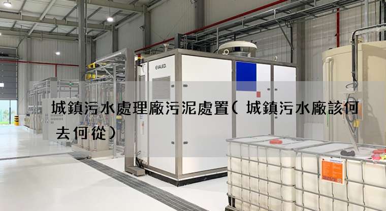 城鎮污水處理廠污泥處置(城鎮污水廠該何去何從)